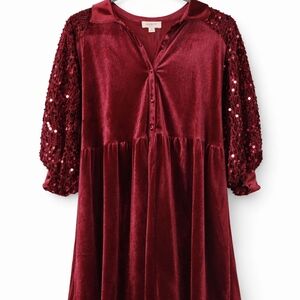 Umgee Burgundy Velvet Dress with Sequin Sleeves
